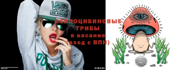 амф Беломорск