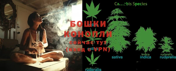 амф Беломорск