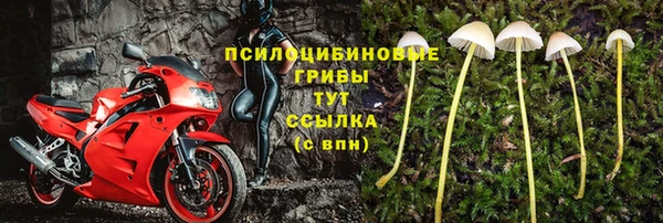 MESCALINE Белокуриха