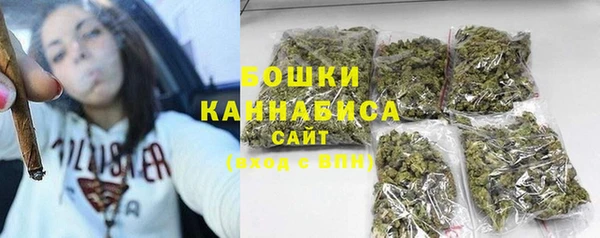 гидра Белоозёрский