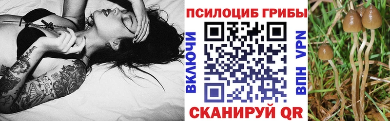 Псилоцибиновые грибы Cubensis  где найти   ОМГ ОМГ ТОР  Котельниково 